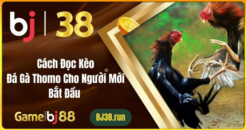 Các yếu tố thúc đẩy sự phát triển của đá gà trực tuyến