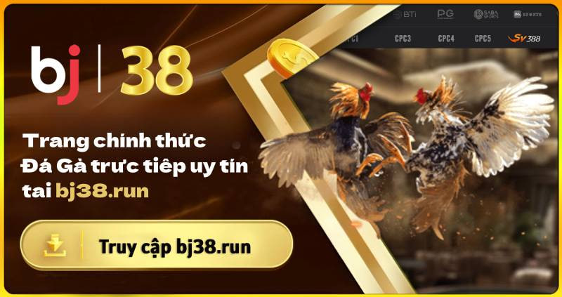 Lợi ích khi tham gia Đá Gà CPC tại BJ38