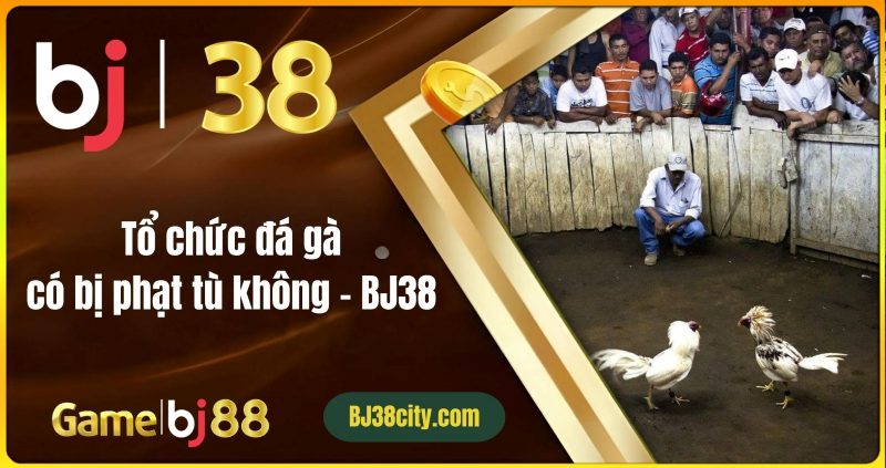 Những thách thức trong ngành đá gà trực tuyến