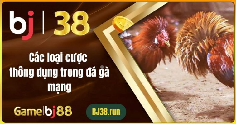 Các Loại Cược Thông Dụng Trong Đá Gà Mạng
