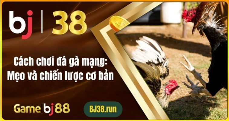 Cách Chơi Đá Gà Mạng: Mẹo Và Chiến Lược Cơ Bản