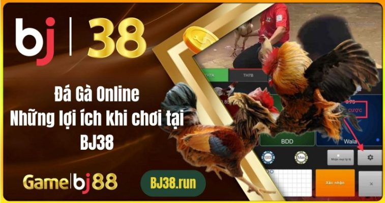 Đá Gà Online: Những Lợi Ích Khi Chơi Tại BJ38