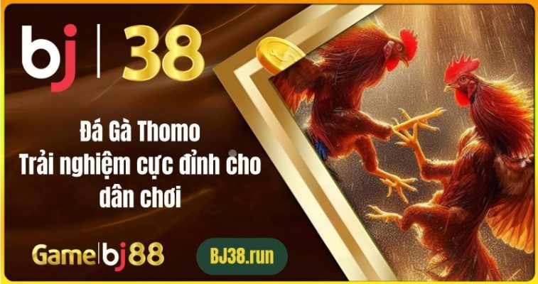 Đá Gà Thomo Tại BJ38: Trải Nghiệm Cực Đỉnh Cho Dân Chơi