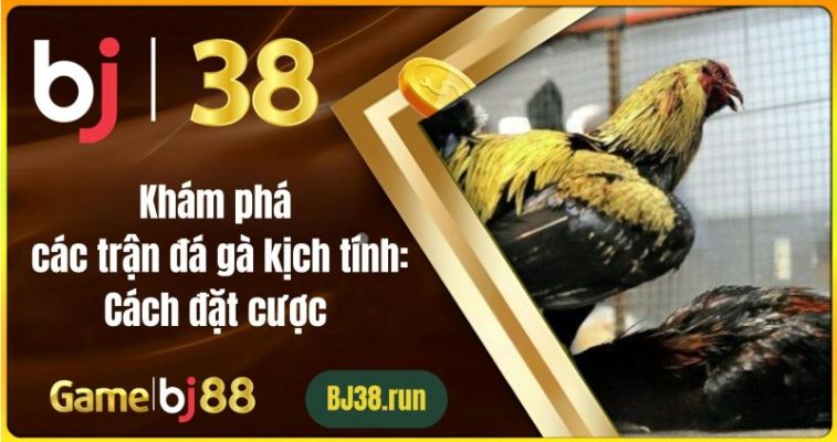 Khám Phá Trận Đá Gà Kịch Tính Tại BJ38: Cách Đặt Cược